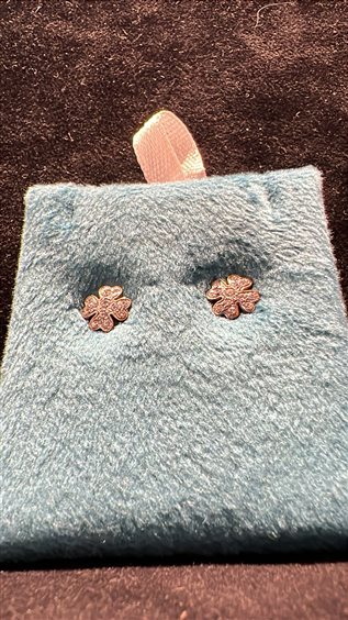 Orecchini Domar Donna in Argento Zircone ORAR-388-280 - ORAR-388-280